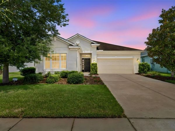 17566 BUCKINGHAM GARDEN DRIVE , LITHIA, FL 33547
