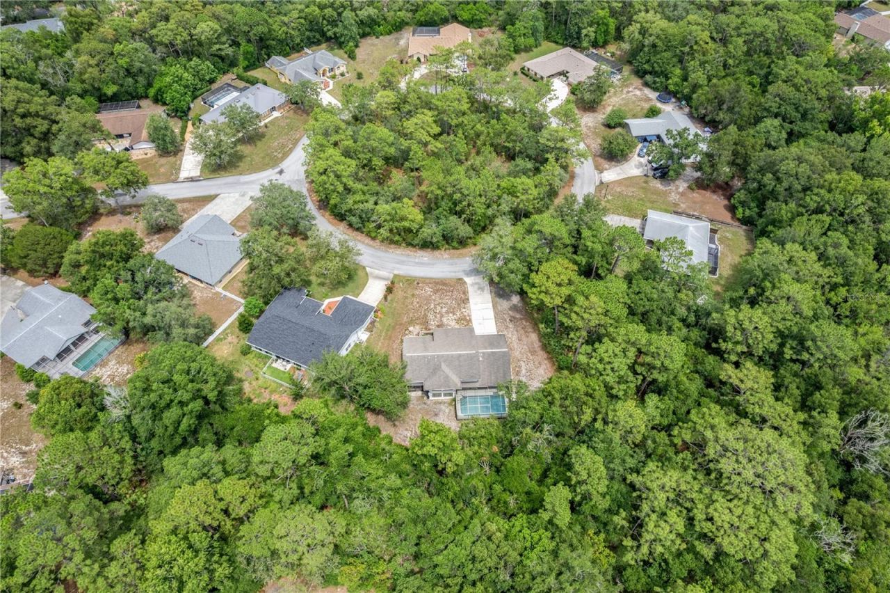 10 Sycamore Court S, Homosassa, FL 34446 Photo