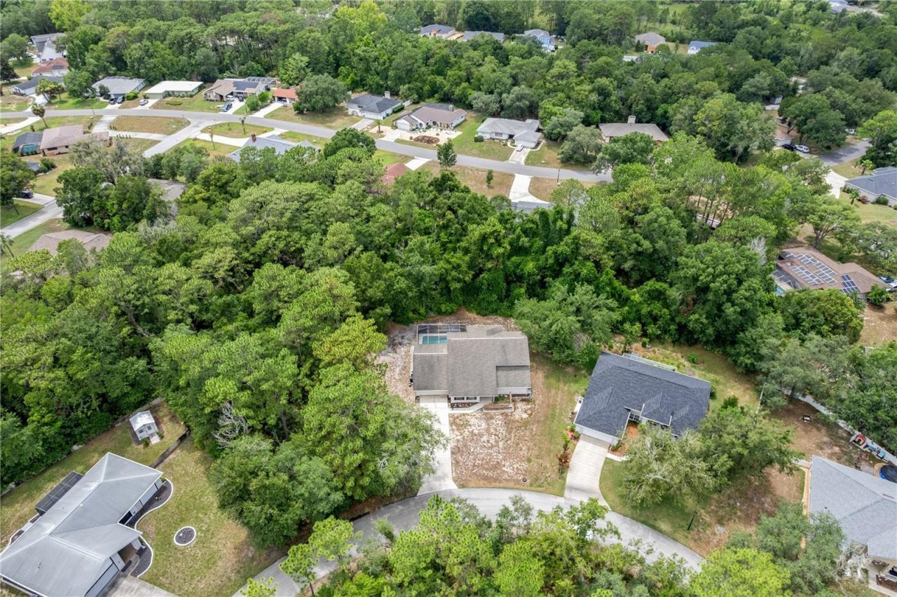 10 Sycamore Court S, Homosassa, FL 34446 Photo