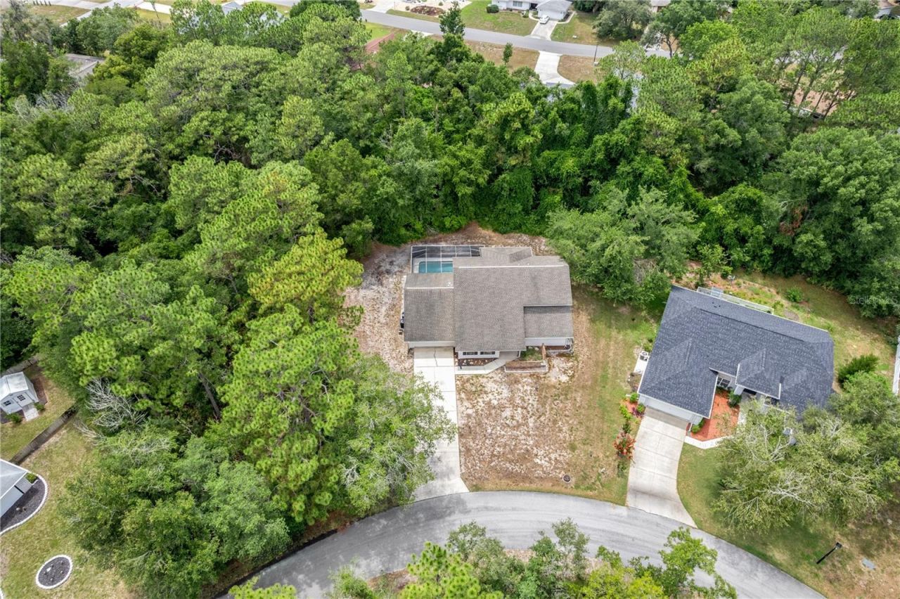 10 Sycamore Court S, Homosassa, FL 34446 Photo