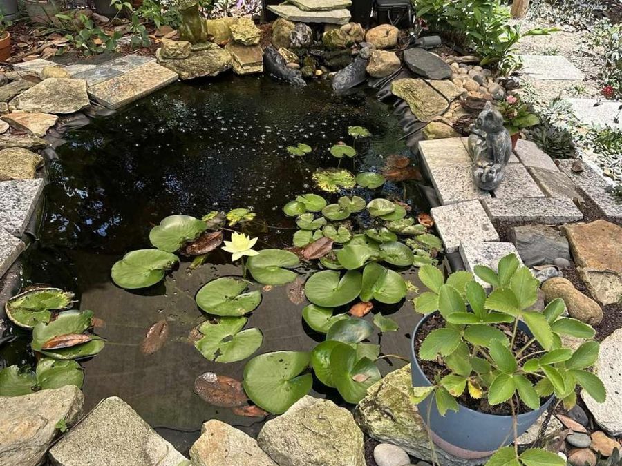 Property Image 6