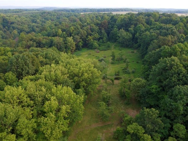 Dundee Strasburg Road NW, Strasburg, OH 44680 Photo 16