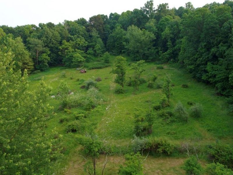 Dundee Strasburg Road NW, Strasburg, OH 44680 Photo 17