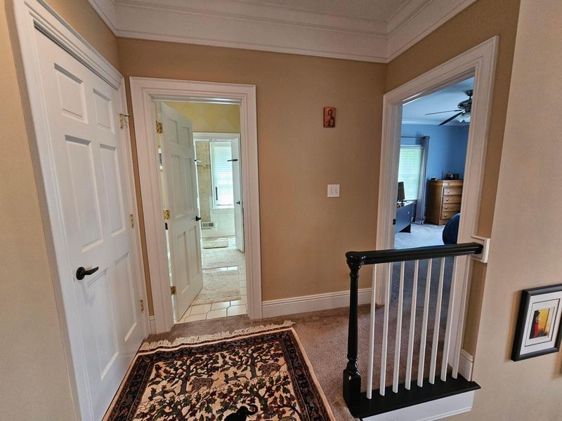 4184 Baughman Grant, New Albany, OH 43054 Photo 48