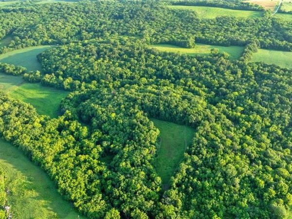 Nw Of Waller Road, Richmond, MO 64085