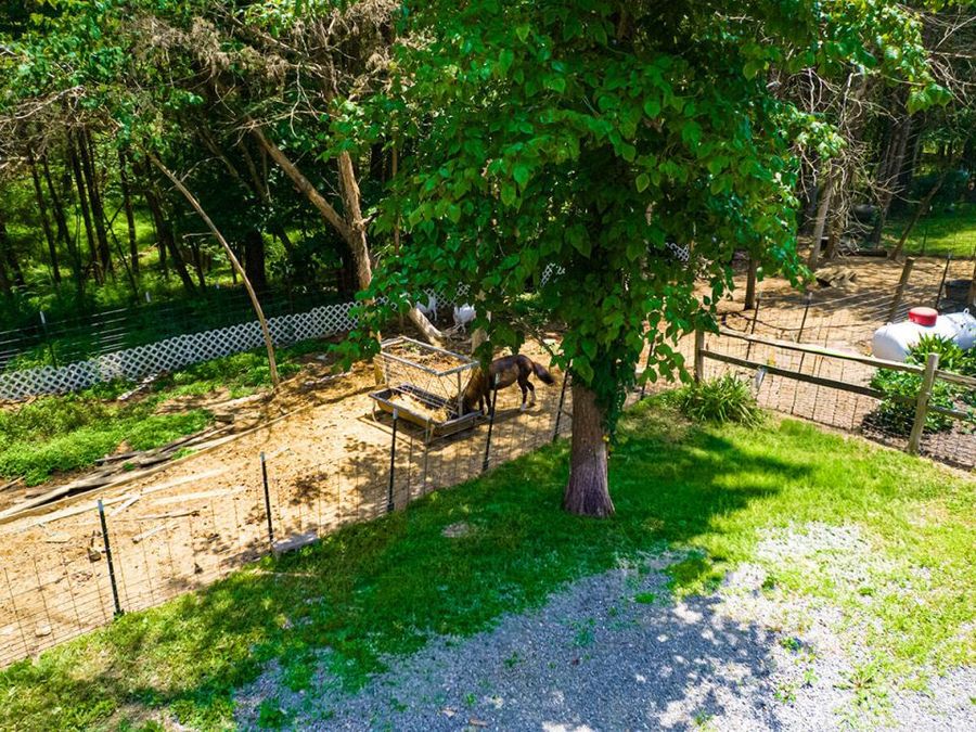 Property Image 56