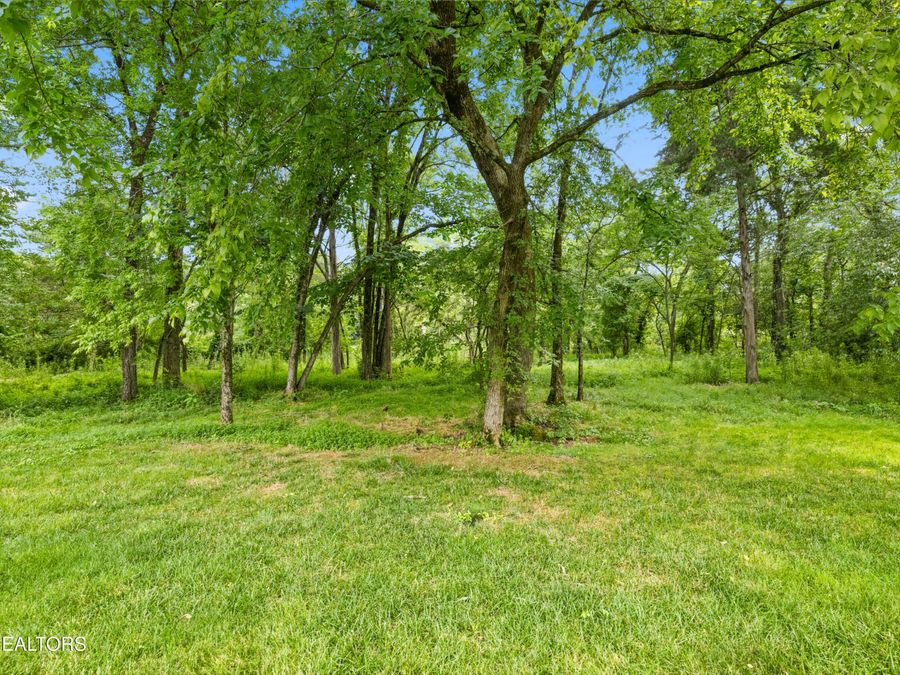 Property Image 59