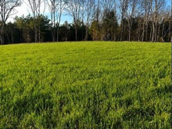 1261 Highway 48 S, Dickson, TN 37055