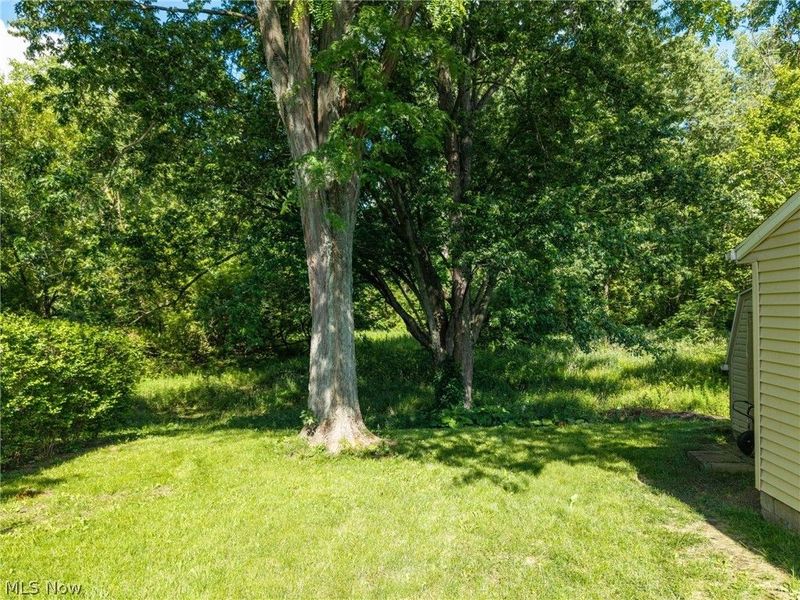 2525 Kingsport Way, Akron, OH 44314 Photo 5