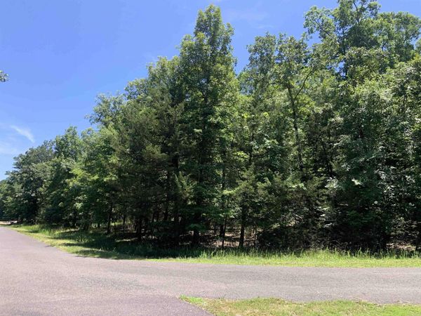 19 Campeon Ln , Hot Springs Village, AR 71909