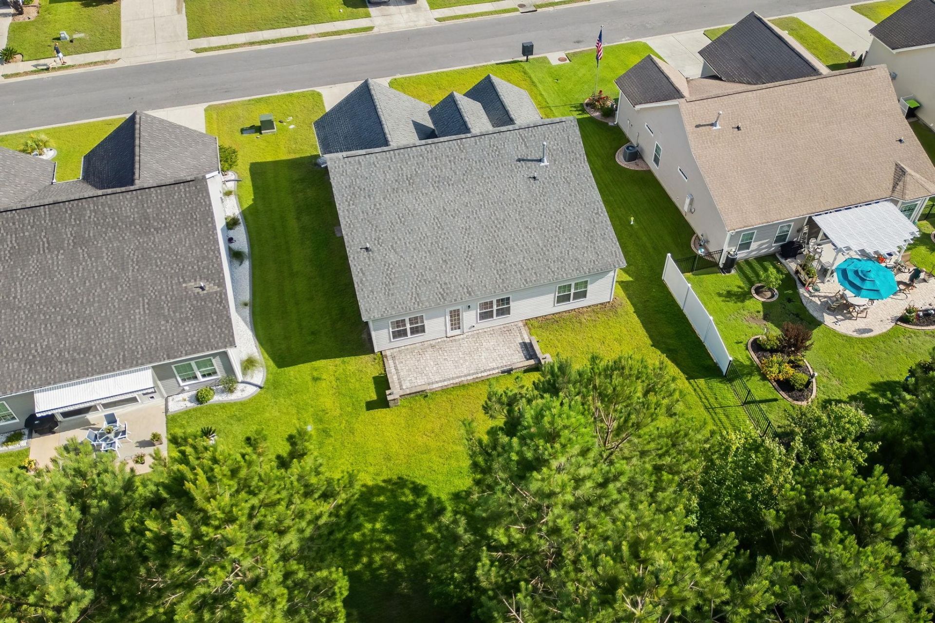 840 Windsor Rose Dr.  Photo 5