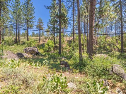 13020 Donner Pass Road, Truckee, CA 96161 Photo