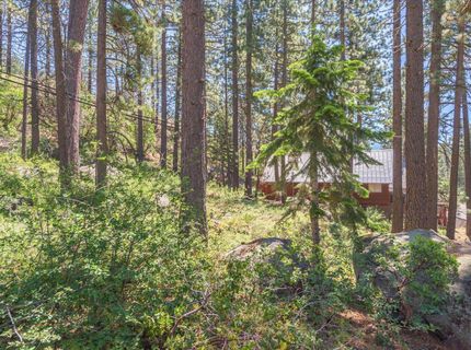13020 Donner Pass Road, Truckee, CA 96161 Photo