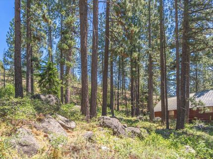 13020 Donner Pass Road, Truckee, CA 96161 Photo