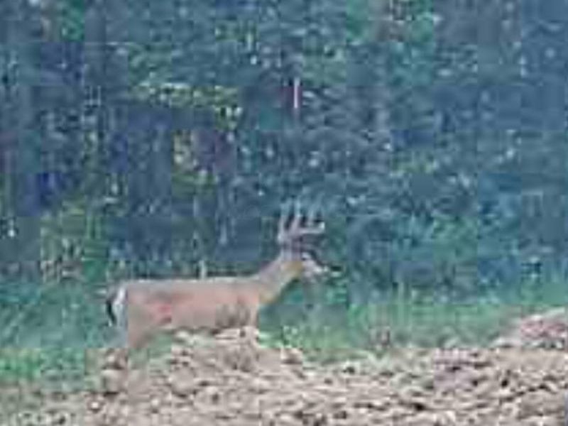 0 State Route 222, Felicity, OH 45120 Photo 30