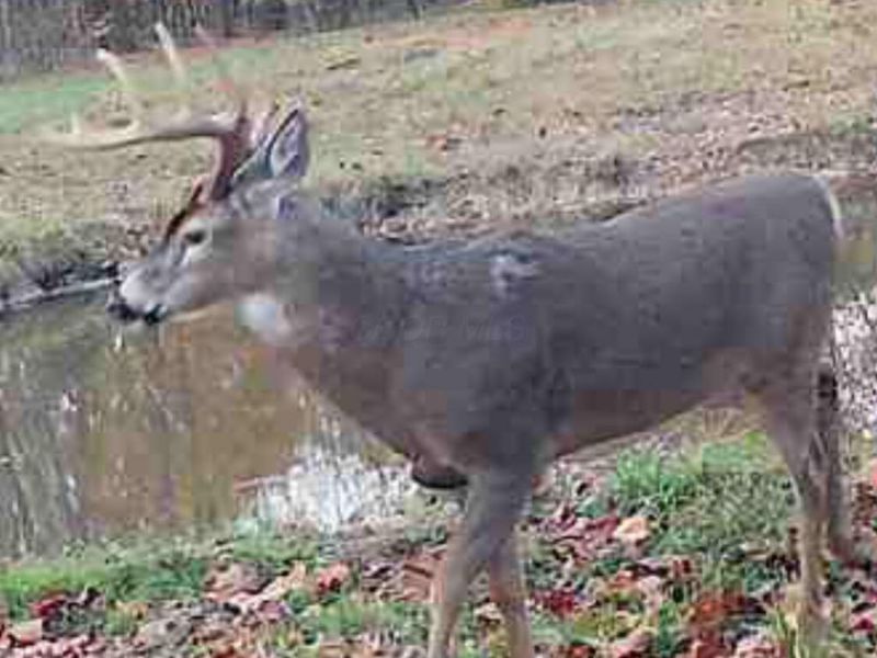 0 State Route 222, Felicity, OH 45120 Photo 37