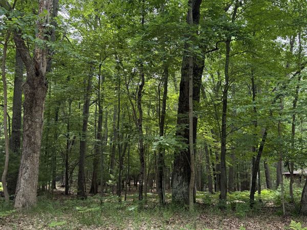 Lot 127 Wayne Road, Pentwater, MI 49449