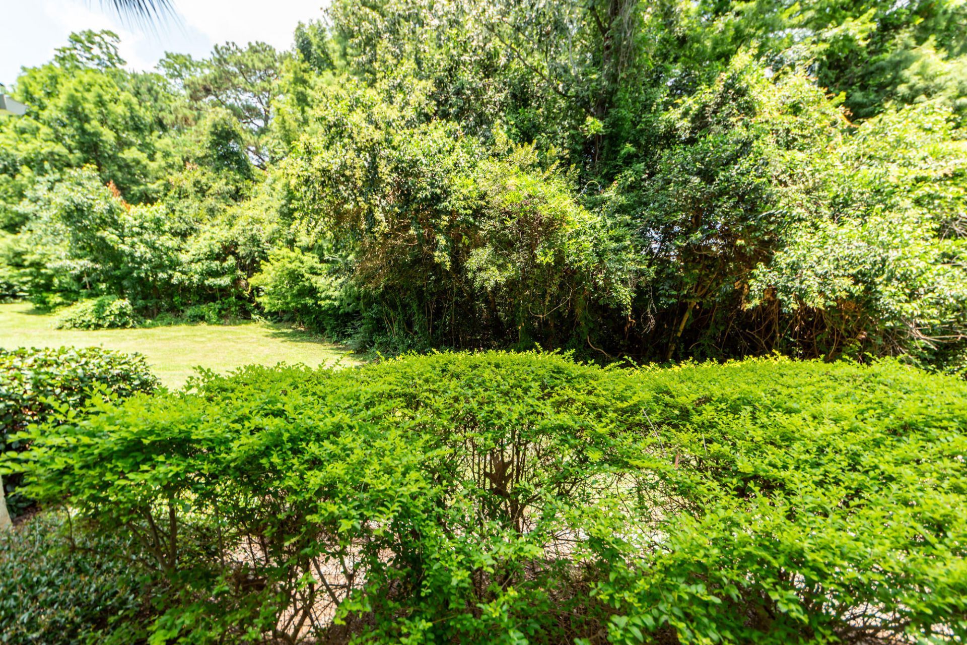 45 Sycamore Avenue Photo 21