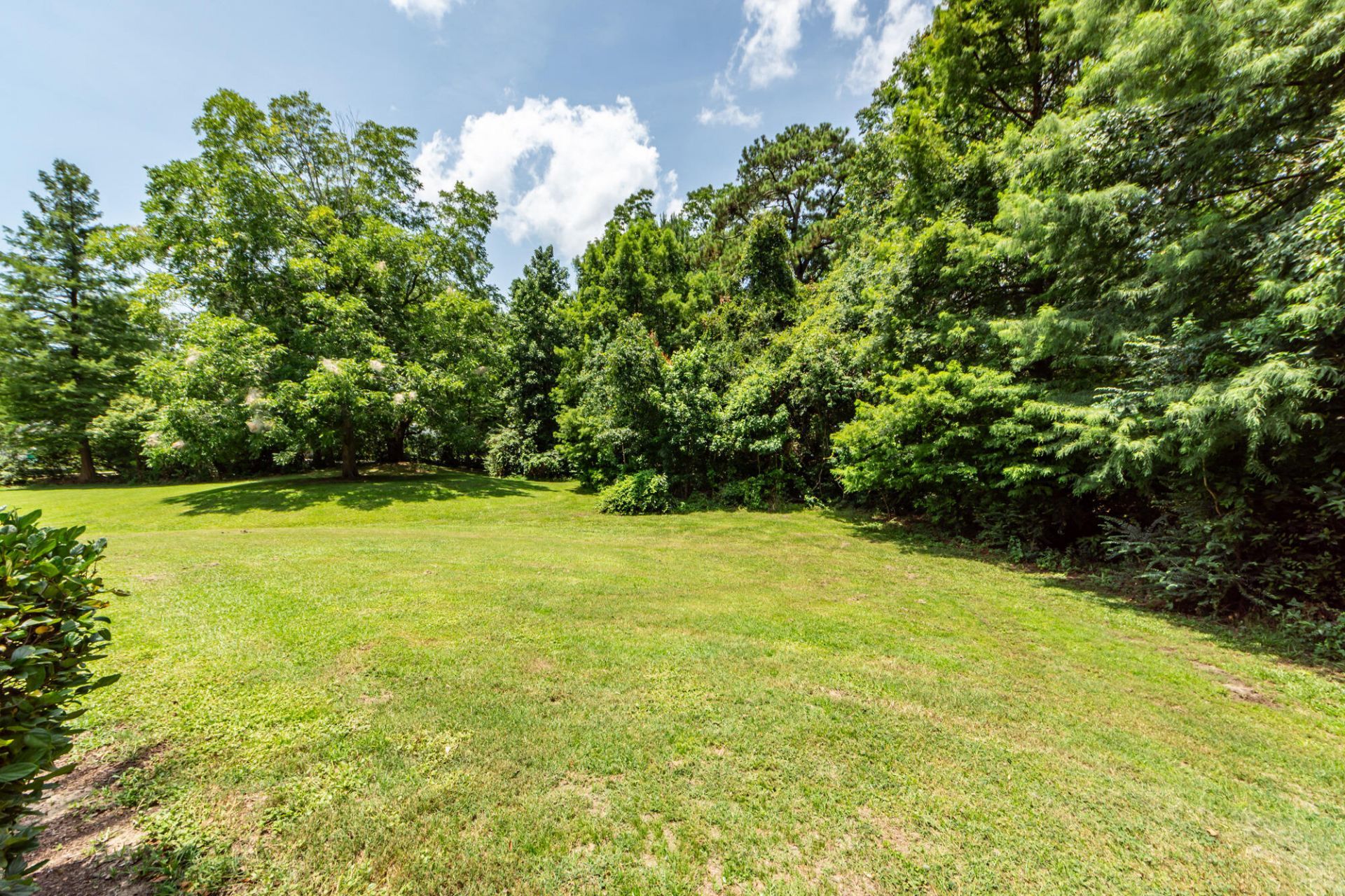45 Sycamore Avenue Photo 22