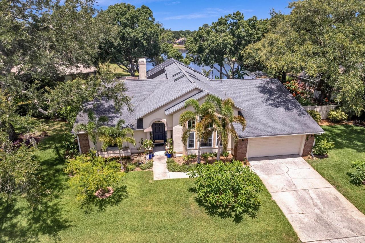 8412 Ridgebrook Circle, Odessa, FL 33556 Photo