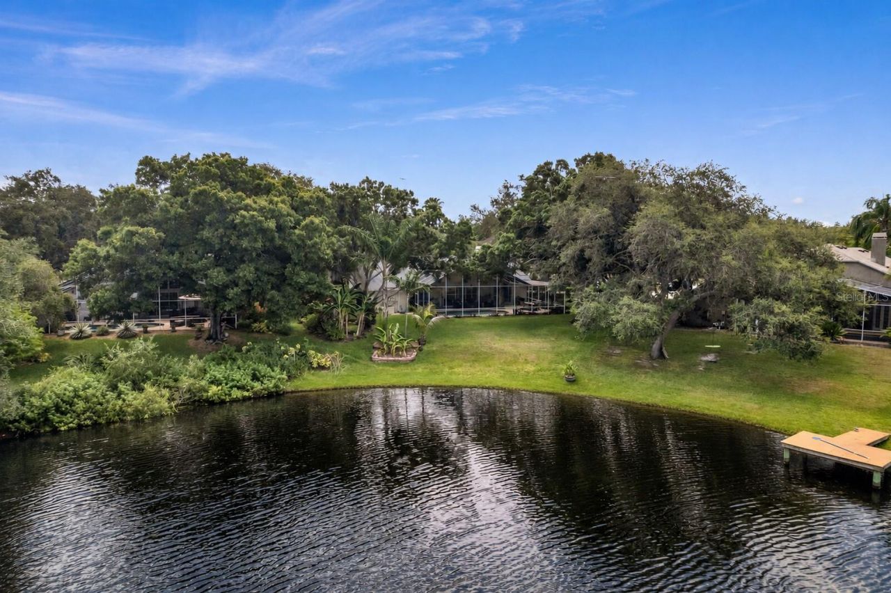 8412 Ridgebrook Circle, Odessa, FL 33556 Photo