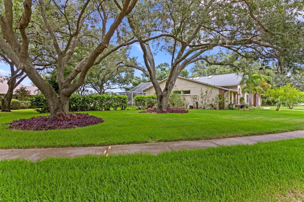 8412 Ridgebrook Circle, Odessa, FL 33556 Photo