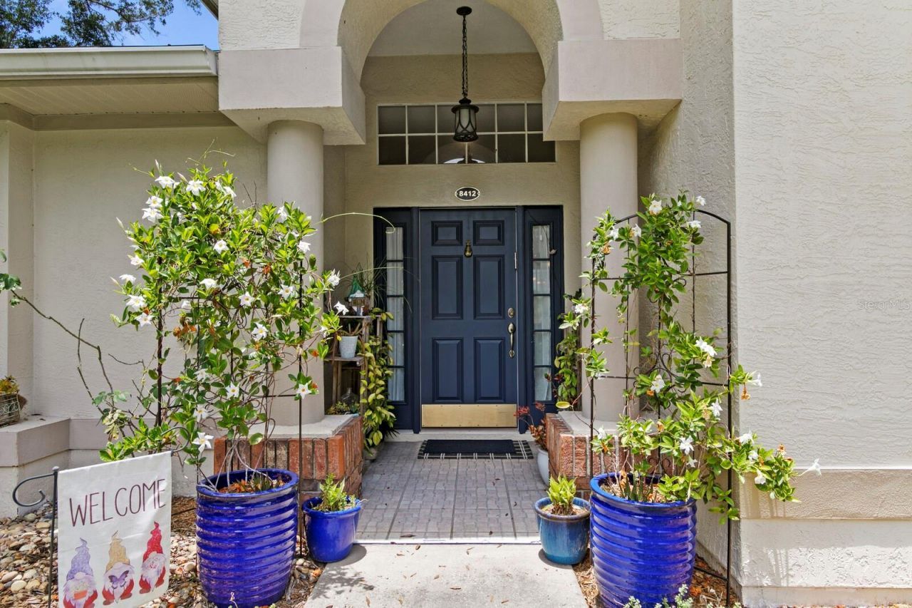 8412 Ridgebrook Circle, Odessa, FL 33556 Photo