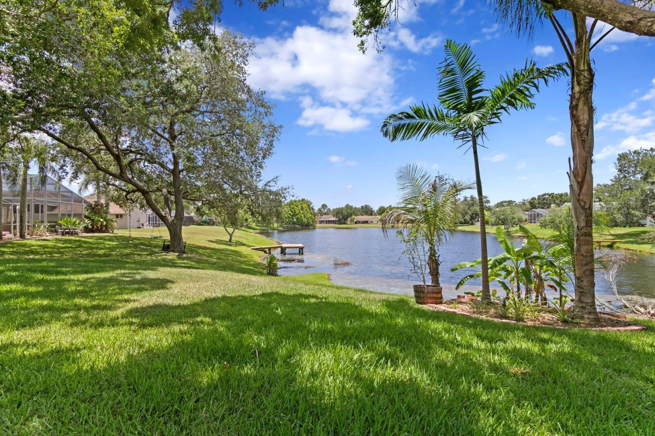 8412 Ridgebrook Circle, Odessa, FL 33556 Photo