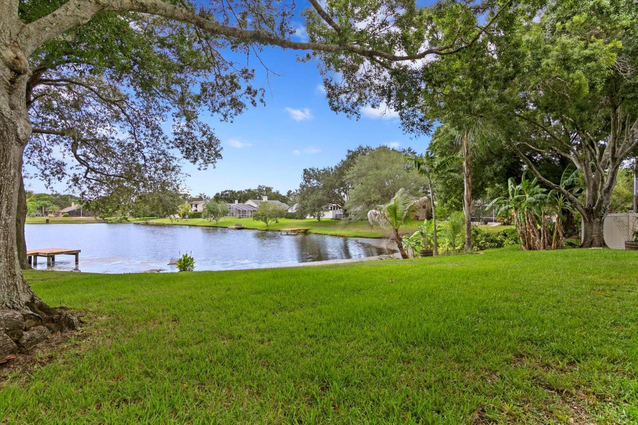 8412 Ridgebrook Circle, Odessa, FL 33556 Photo