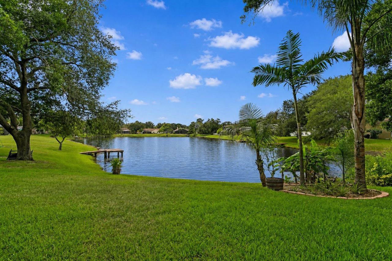 8412 Ridgebrook Circle, Odessa, FL 33556 Photo