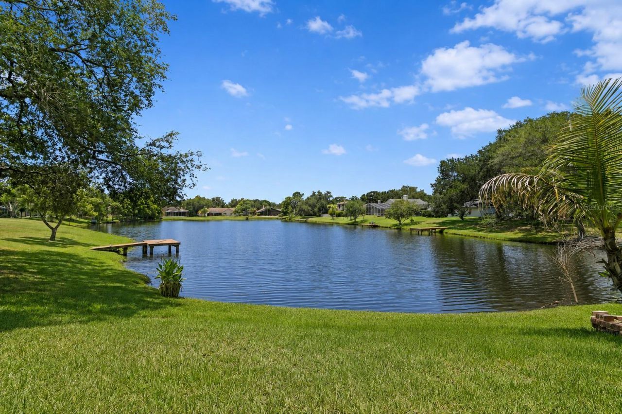 8412 Ridgebrook Circle, Odessa, FL 33556 Photo
