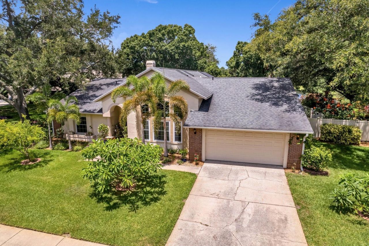8412 Ridgebrook Circle, Odessa, FL 33556 Photo