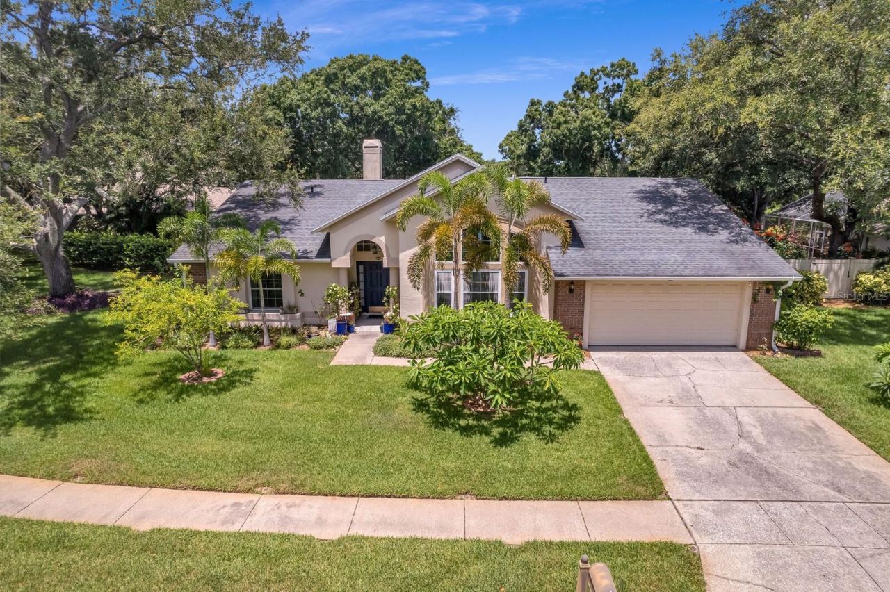 8412 Ridgebrook Circle, Odessa, FL 33556 Photo
