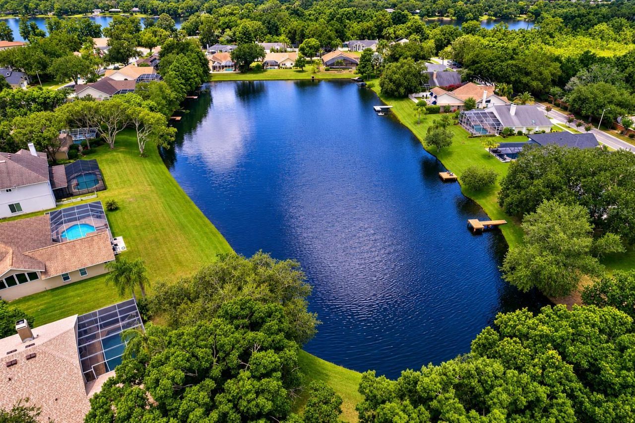 8412 Ridgebrook Circle, Odessa, FL 33556 Photo