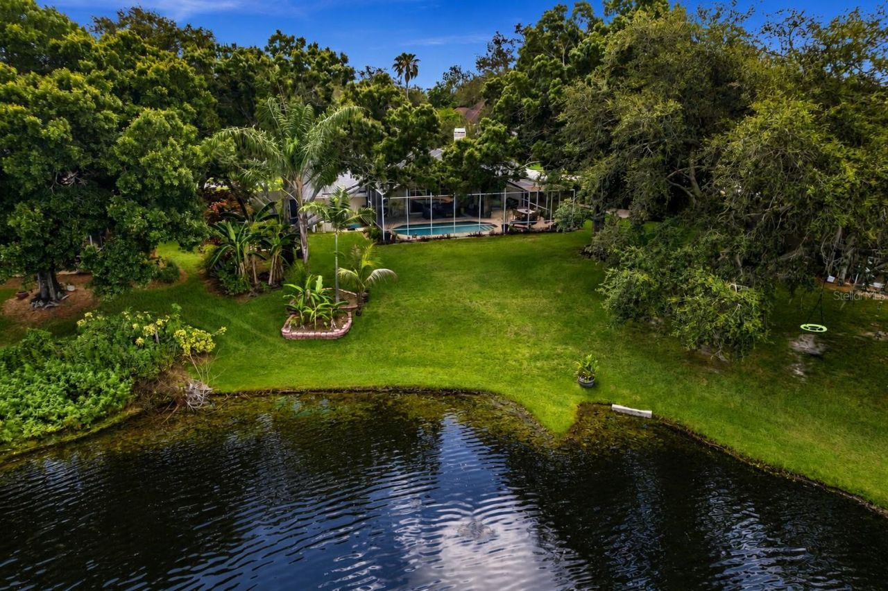 8412 Ridgebrook Circle, Odessa, FL 33556 Photo