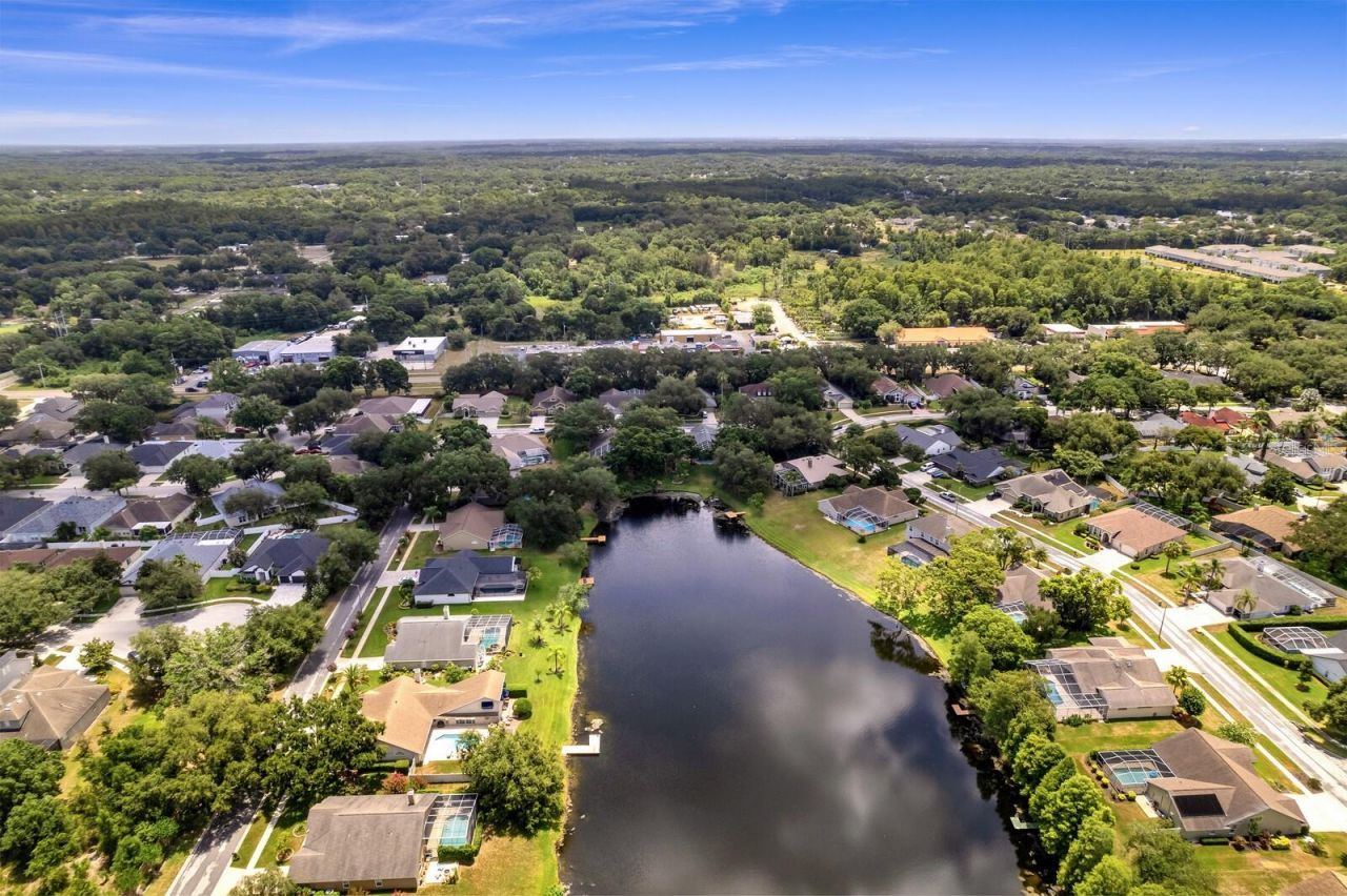 8412 Ridgebrook Circle, Odessa, FL 33556 Photo