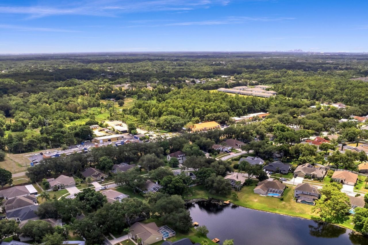 8412 Ridgebrook Circle, Odessa, FL 33556 Photo