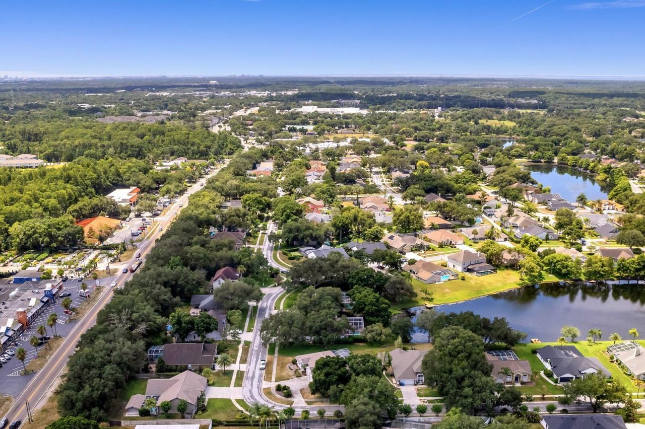 8412 Ridgebrook Circle, Odessa, FL 33556 Photo