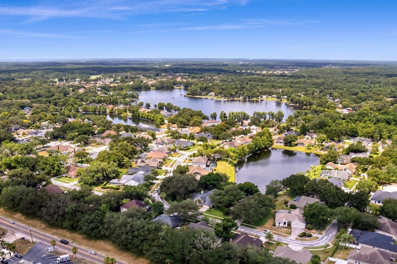 8412 Ridgebrook Circle, Odessa, FL 33556 Photo