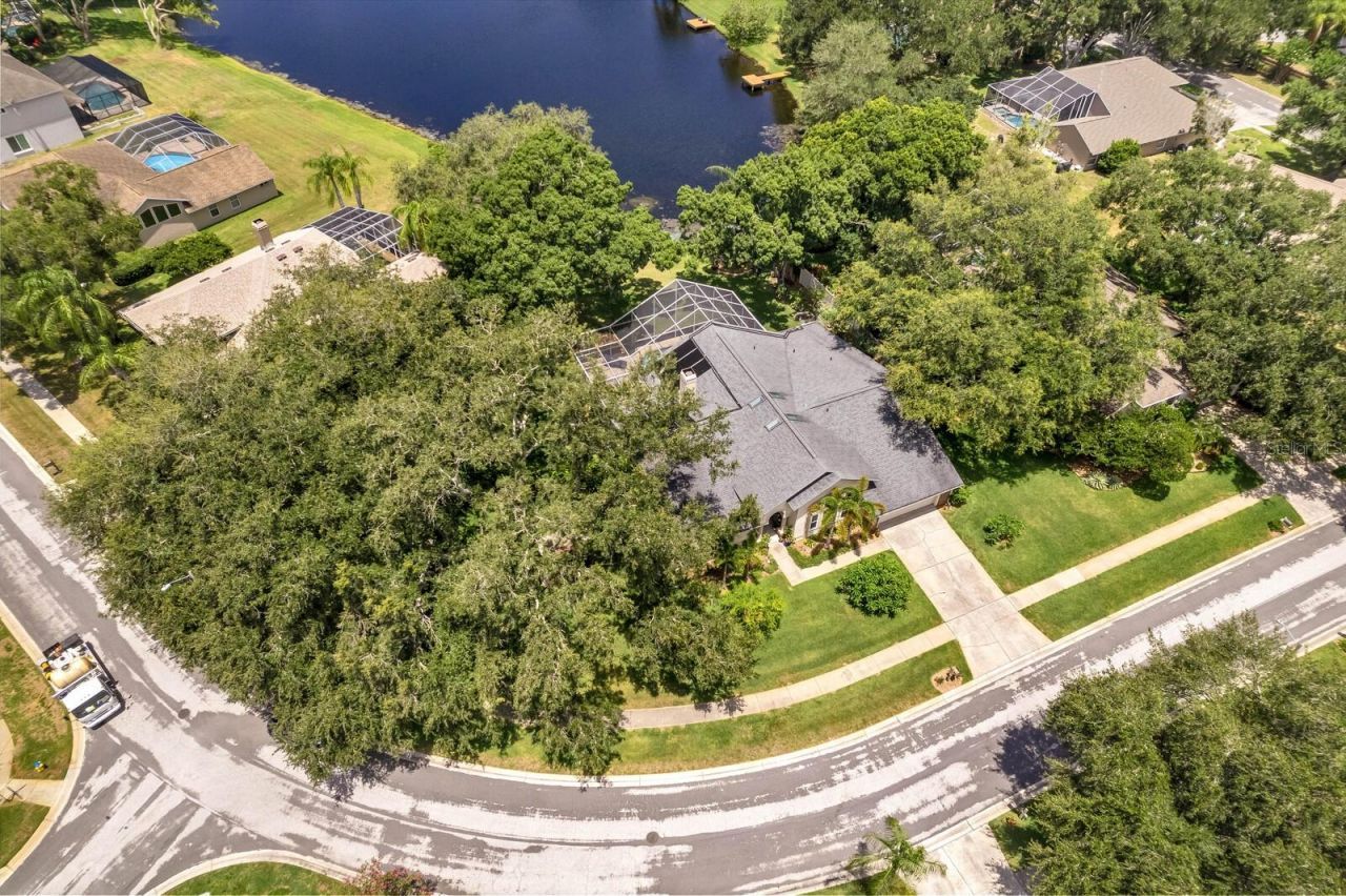 8412 Ridgebrook Circle, Odessa, FL 33556 Photo