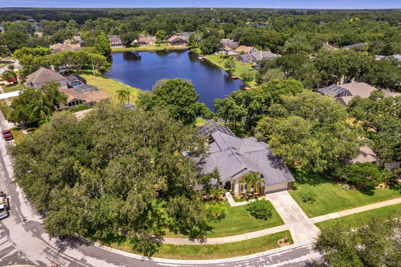 8412 Ridgebrook Circle, Odessa, FL 33556 Photo