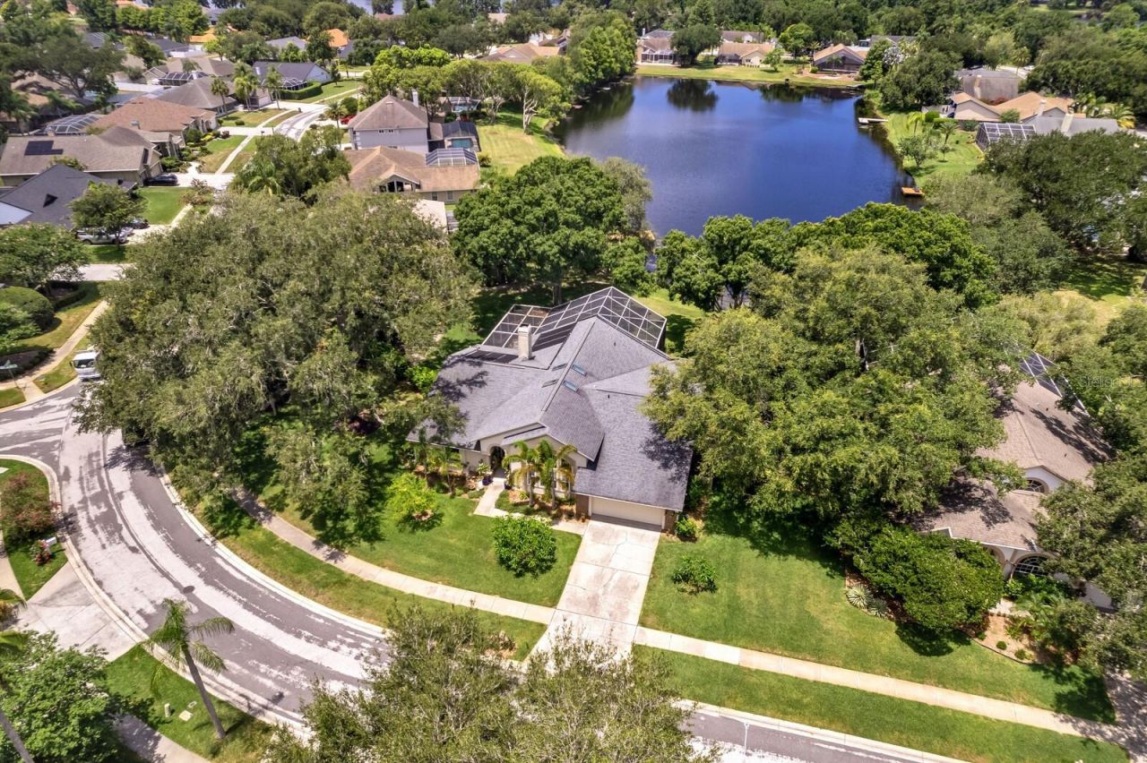 8412 Ridgebrook Circle, Odessa, FL 33556 Photo