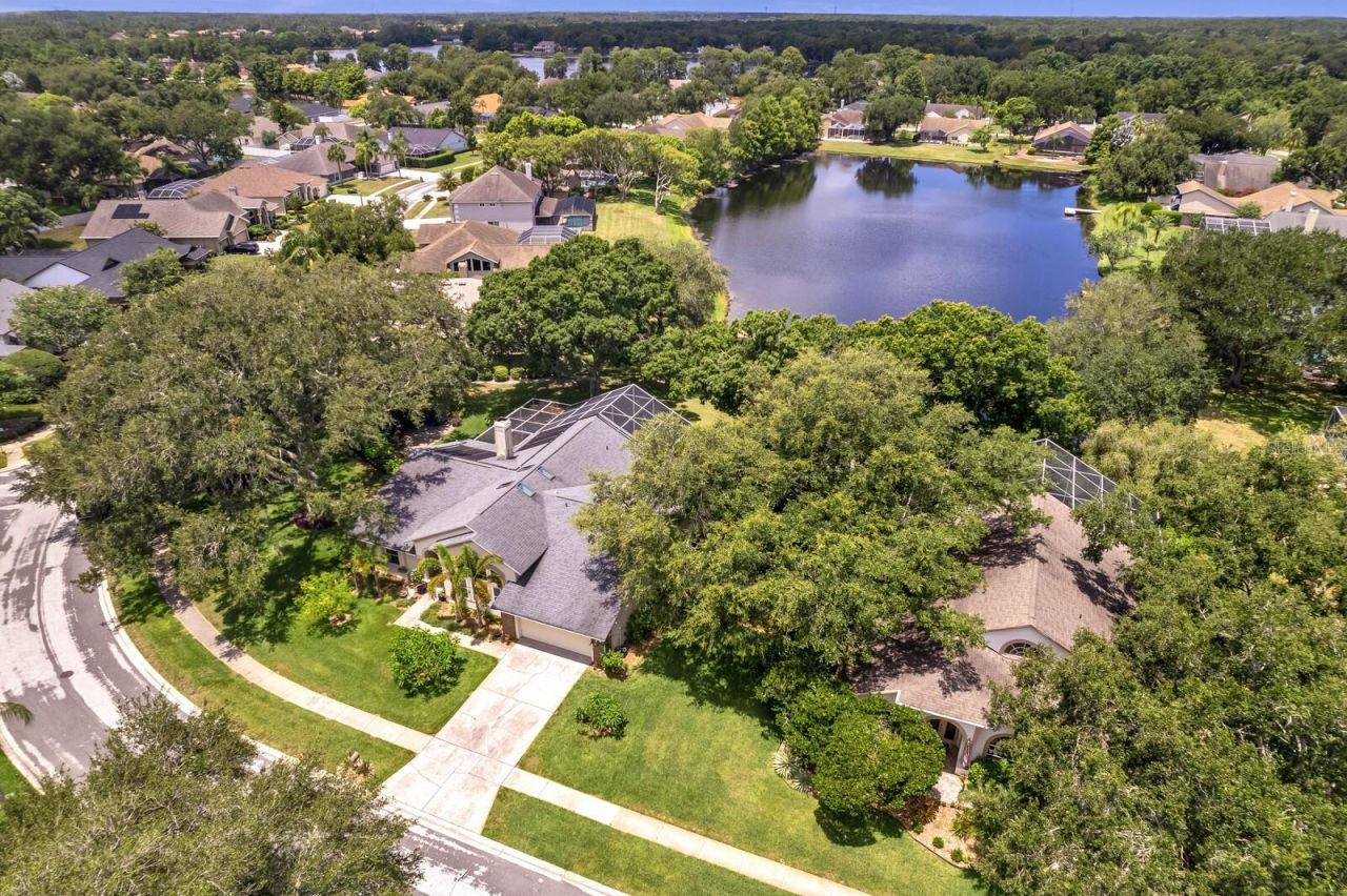 8412 Ridgebrook Circle, Odessa, FL 33556 Photo