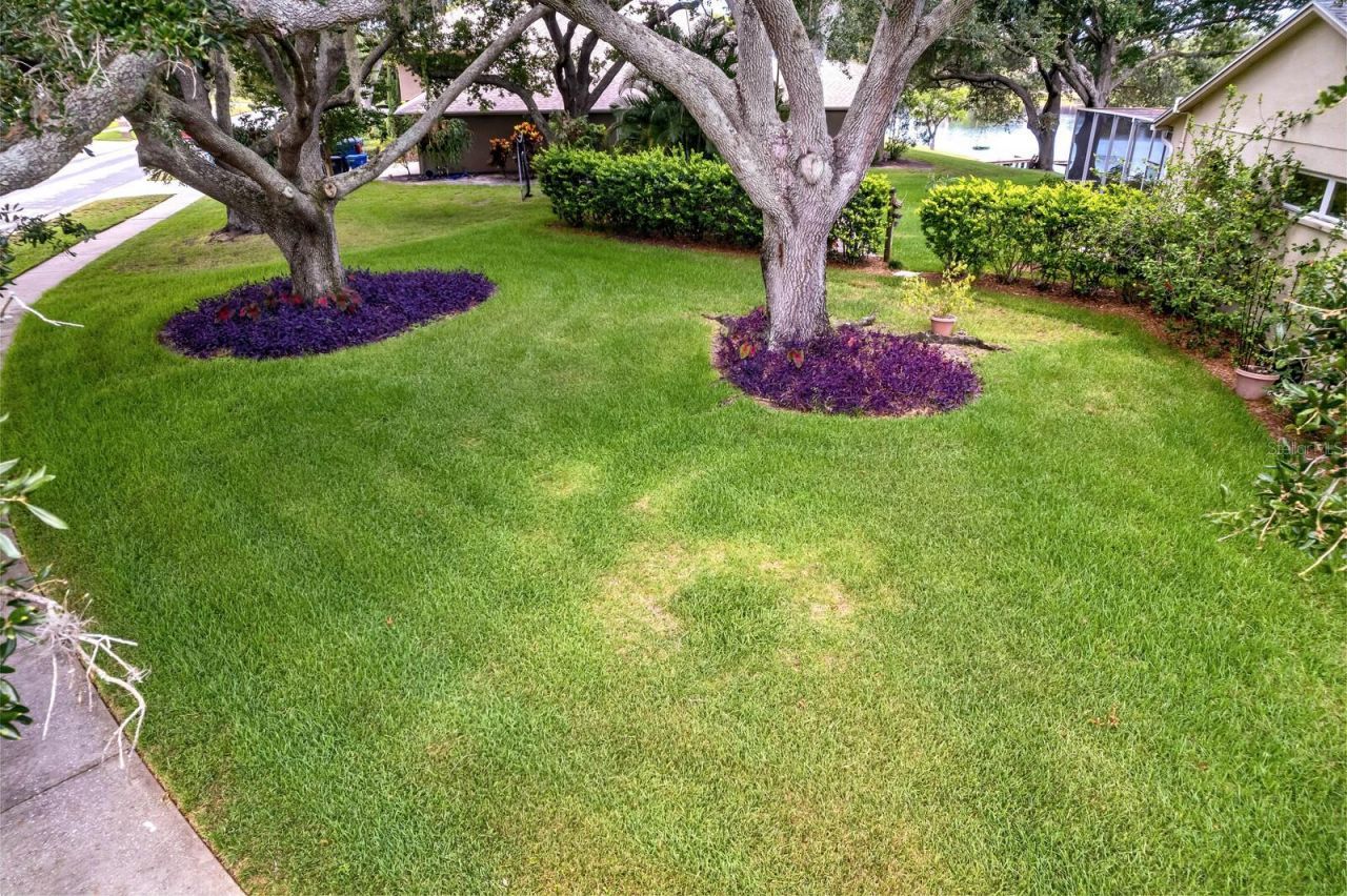 8412 Ridgebrook Circle, Odessa, FL 33556 Photo