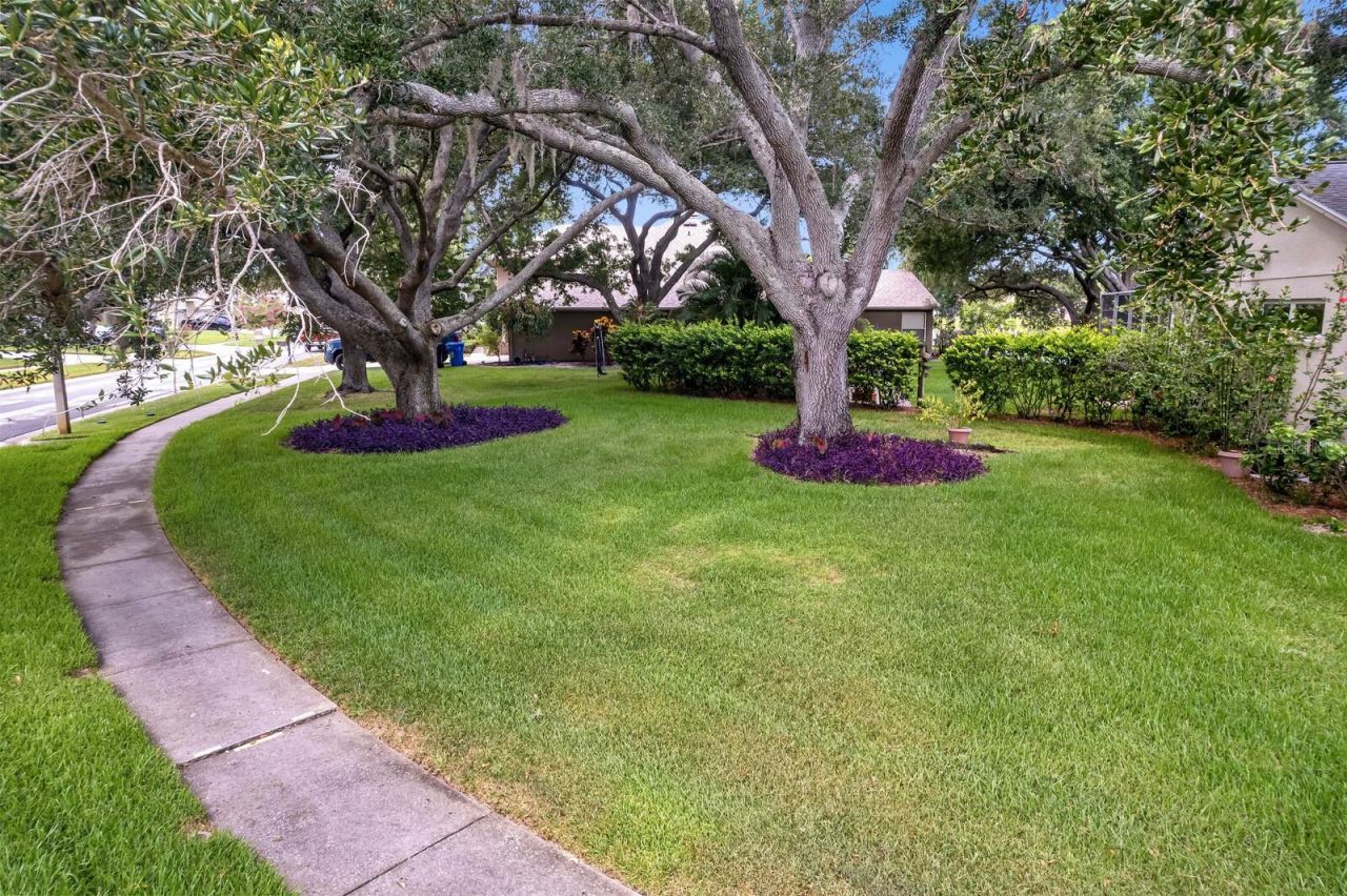 8412 Ridgebrook Circle, Odessa, FL 33556 Photo
