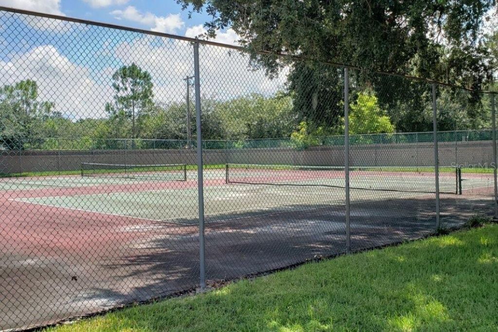 8412 Ridgebrook Circle, Odessa, FL 33556 Photo