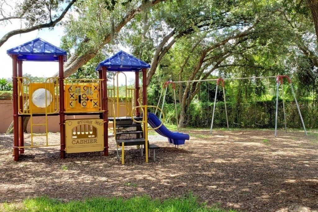 8412 Ridgebrook Circle, Odessa, FL 33556 Photo