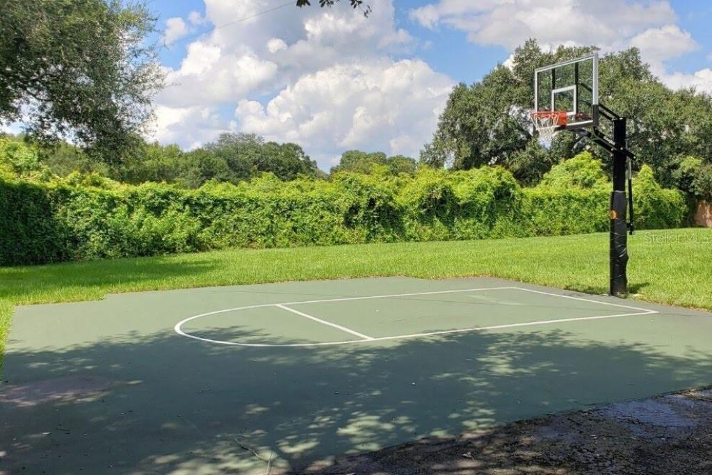 8412 Ridgebrook Circle, Odessa, FL 33556 Photo