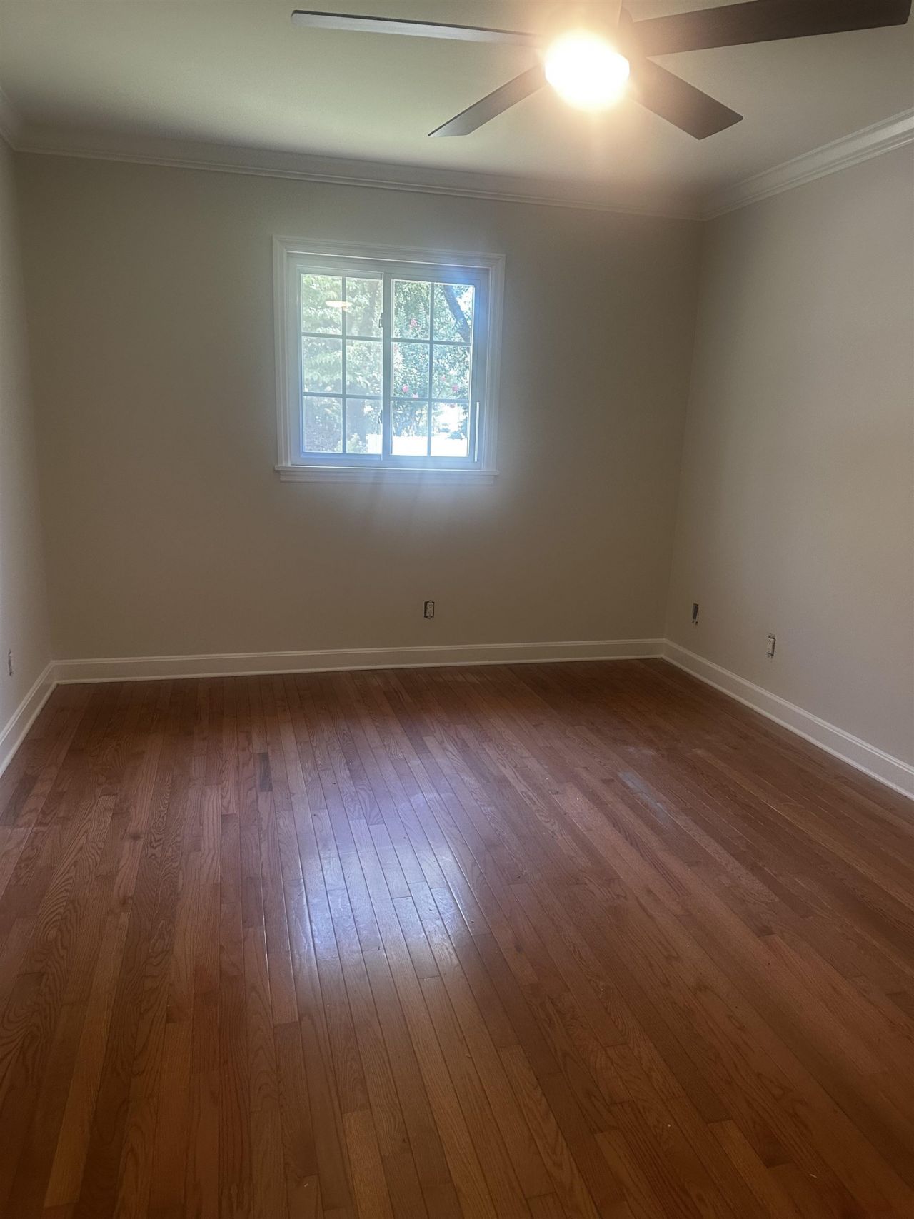 753 Mount Gilead Rd. Photo 18