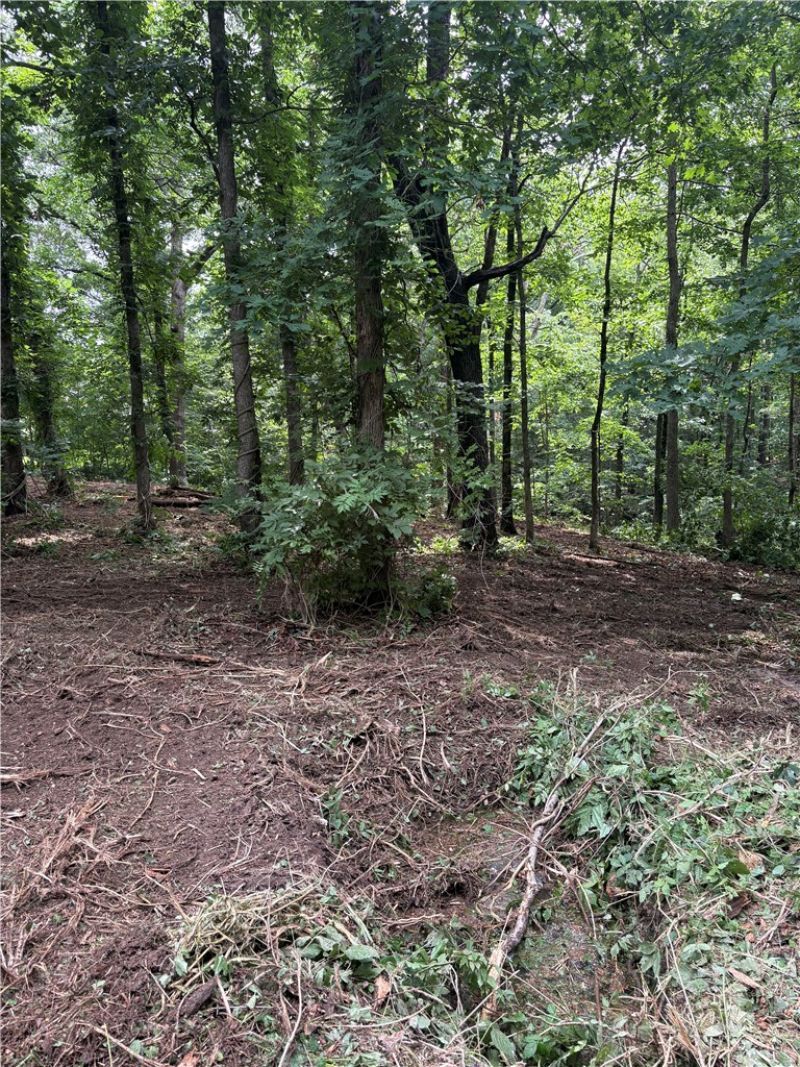 Lot 2 Holme Lane, Bella Vista, AR 72714 Main Photo